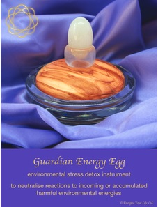 Akiva Guardian Energy Egg